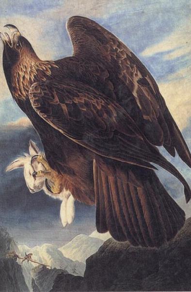 John James Audubon Golden Eagle oil painting picture